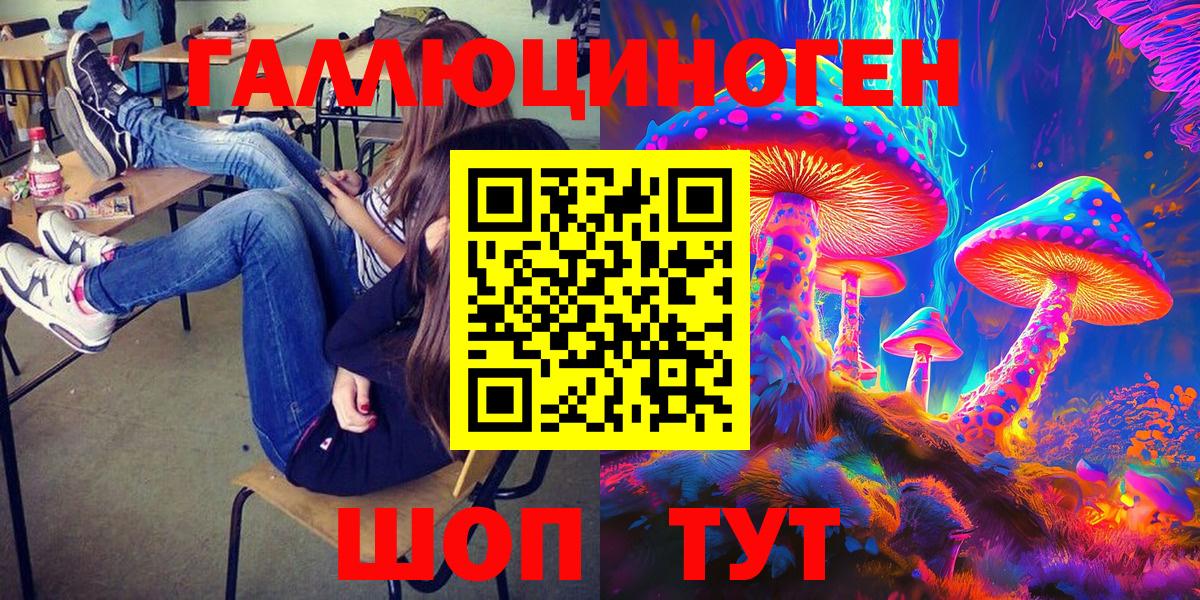 Галлюциногенные грибы Psilocybe Нефтекамск
